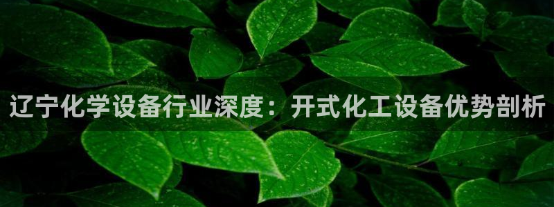 门徒平台注册登陆不上怎么办